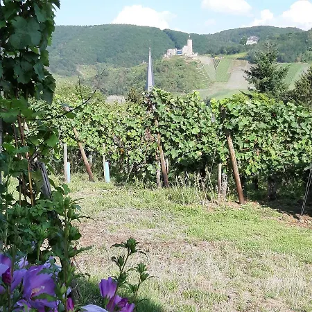 Lieser Apartment Bernkastel-Kues